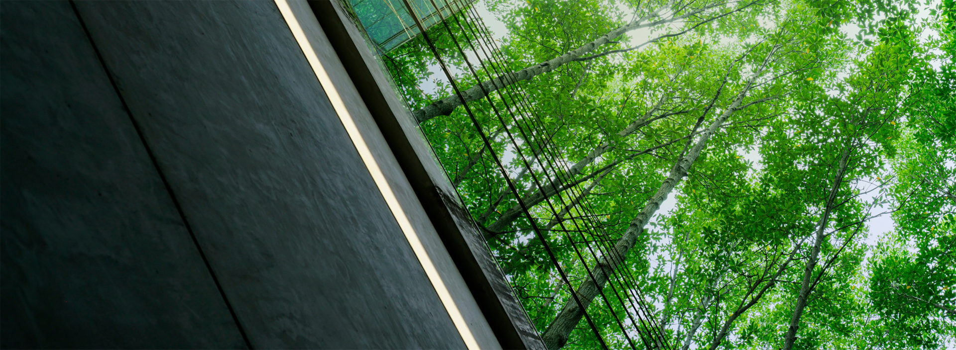 Commitment to Sustainability